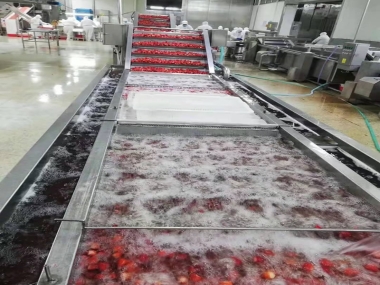 草莓生產線