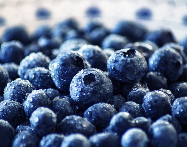 冷凍藍莓，一個被嚴重低估的產品